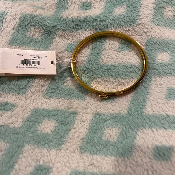 Kate Spade Everyday Bright Rose Bangle Brand New - Picture 3 of 13